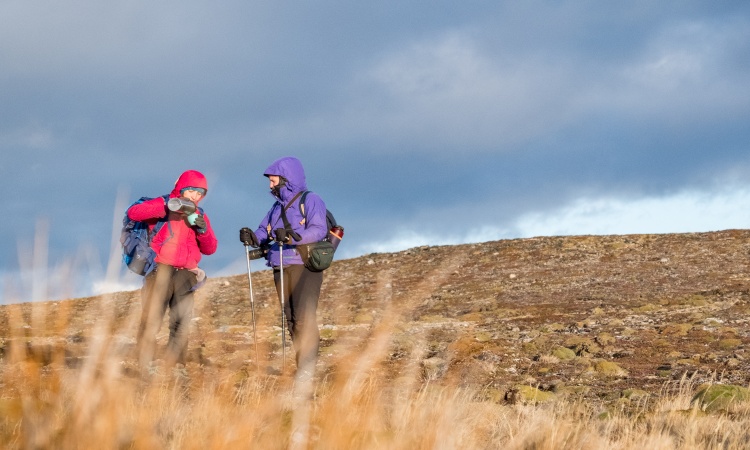 Puerto Williams: Errante Experience (4 days)